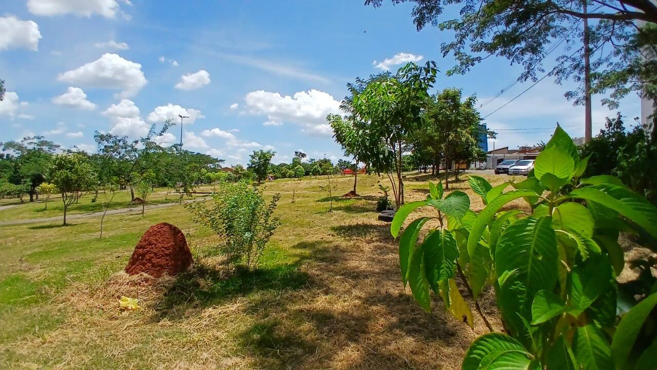 Apartamento, 3 quartos, 60 m² - Foto 15