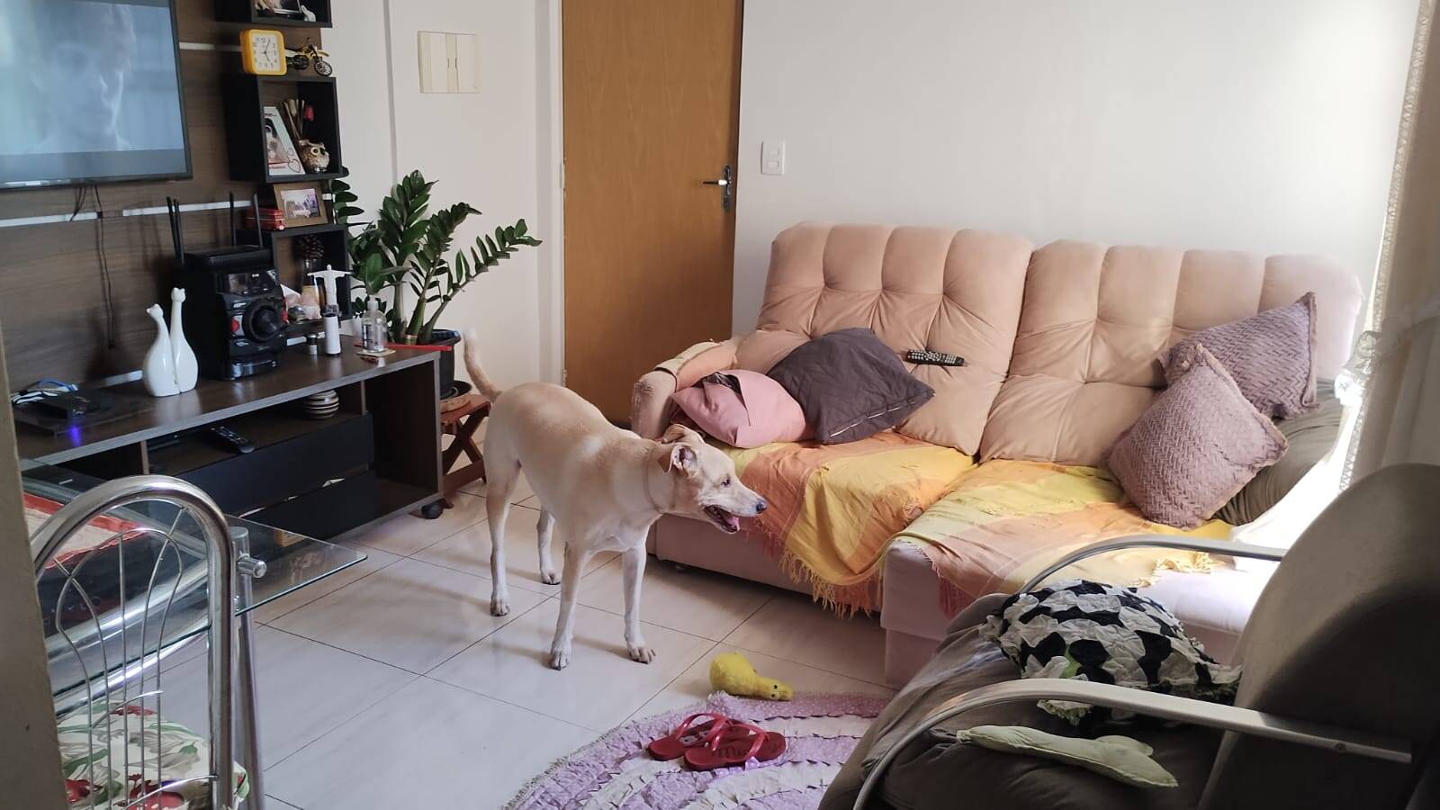 Apartamento, 2 quartos, 55 m² - Foto 1