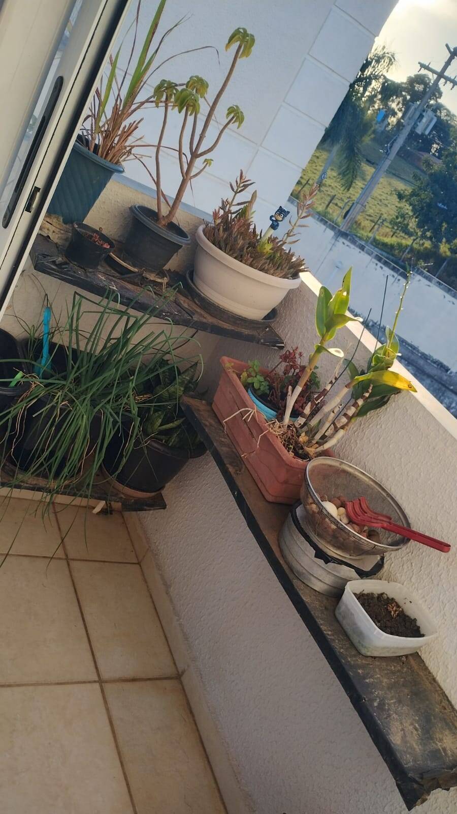 Apartamento, 2 quartos, 55 m² - Foto 4