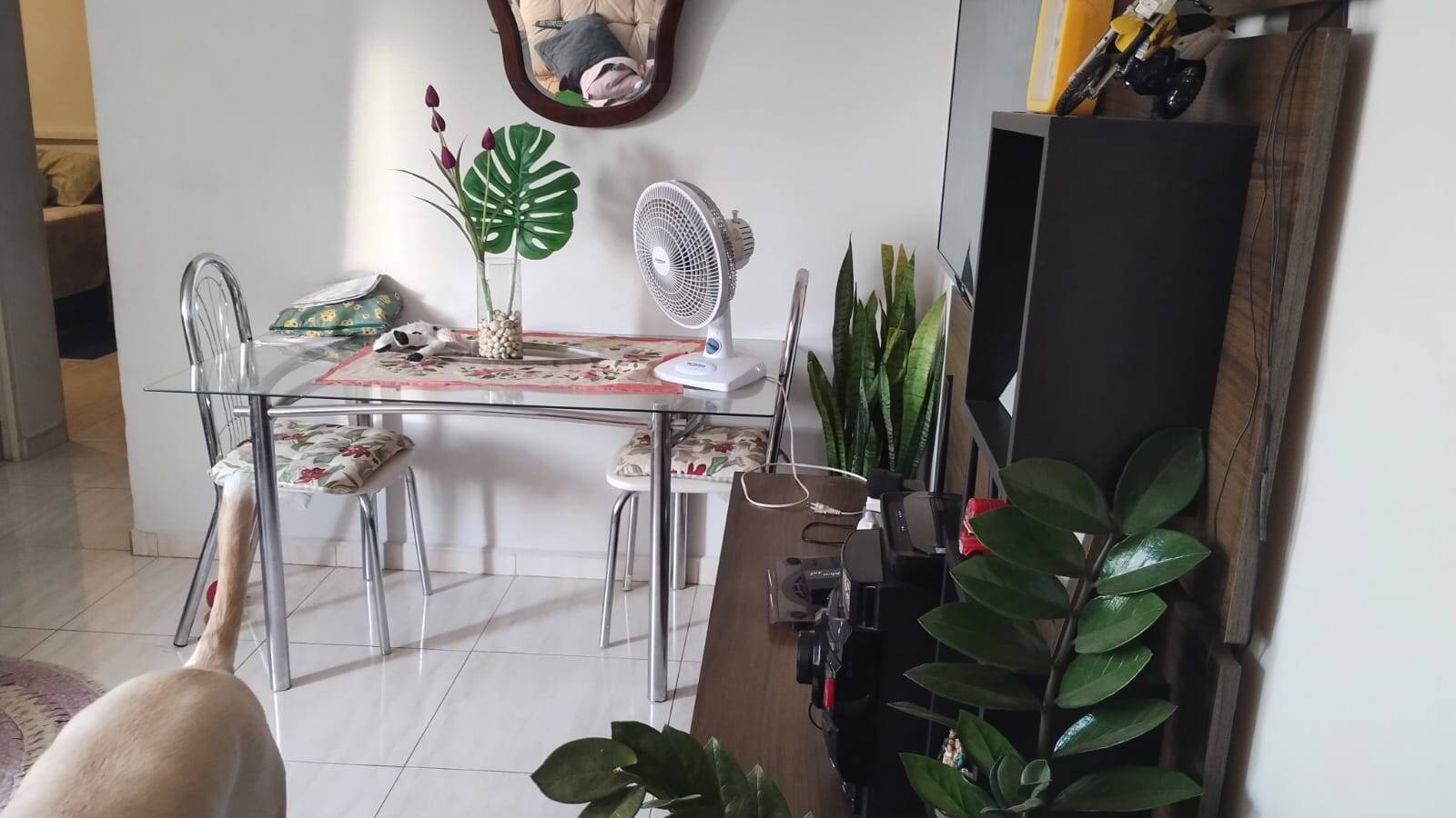 Apartamento, 2 quartos, 55 m² - Foto 5