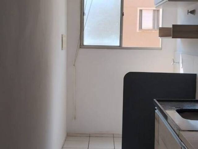 #AP592 - Apartamento para Venda em Americana - SP - 3