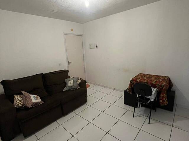 #AP677 - Apartamento para Venda em Americana - SP - 2