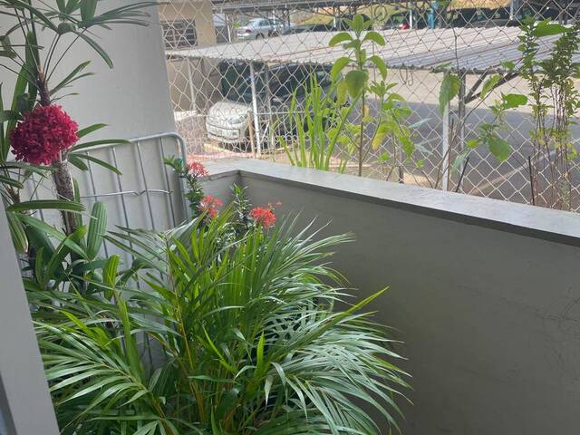 #AP685 - Apartamento para Venda em Americana - SP - 2