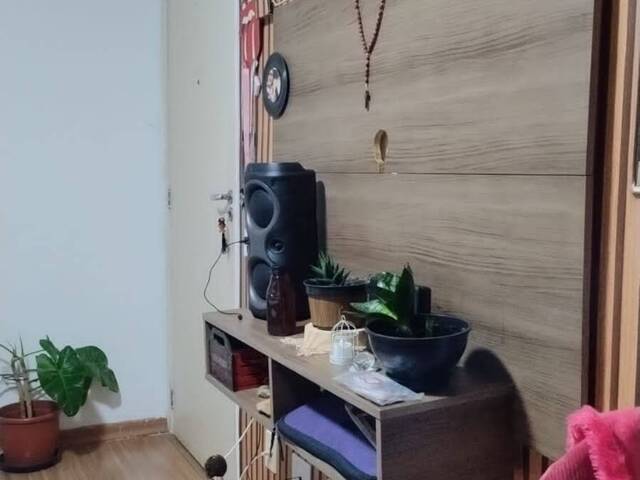 #AP816 - Apartamento para Venda em Americana - SP - 1